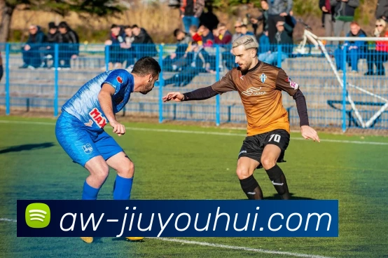 九游会J9官网平台生态图